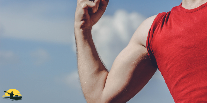 Strengthens Arm Muscles