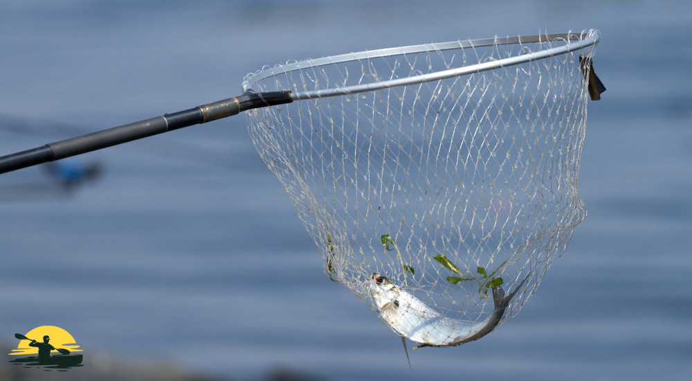 Landing Net