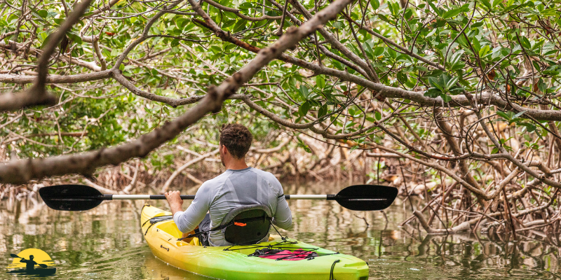 kayak paddle length