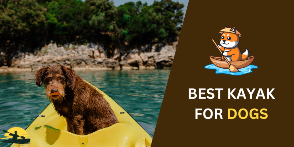 best kayak for dogs