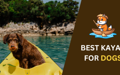 5 Best Kayak for Dogs: Perfect for Your Furry Navigators