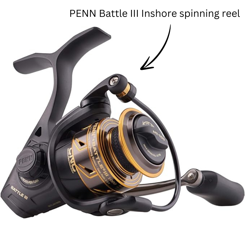 Penn Battle III