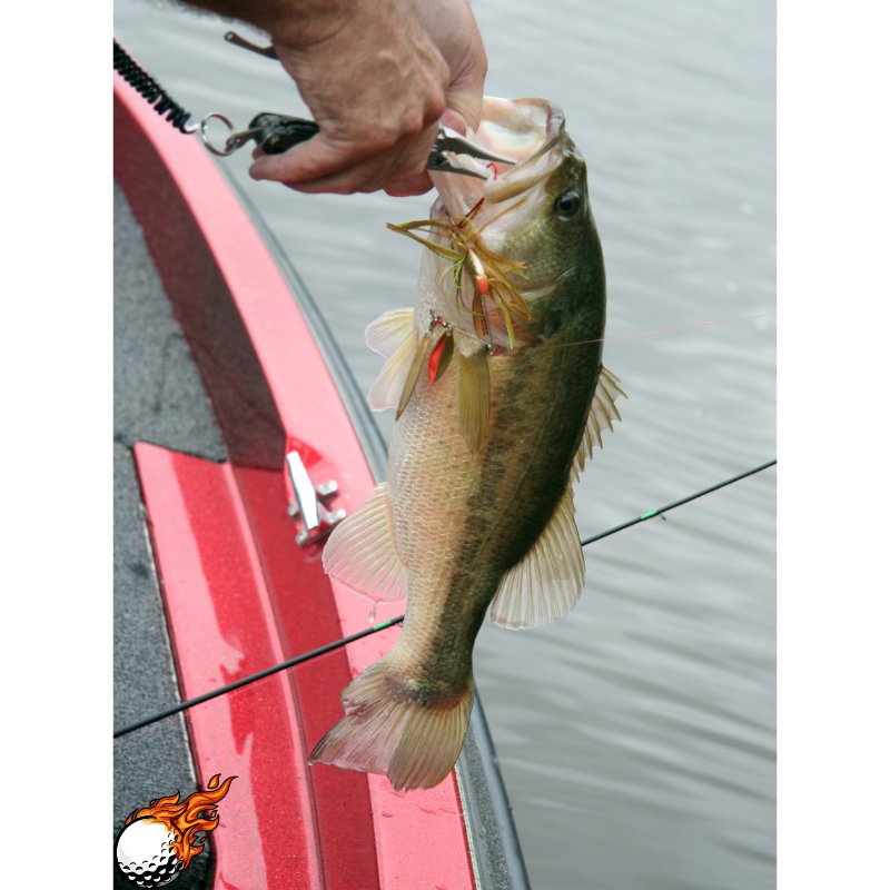 A man is holding a fish with pliers