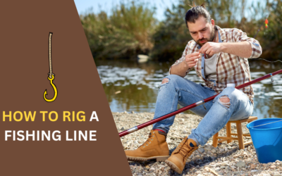 How to Rig a Fishing Line? Step-by-Step Guideline in 2024
