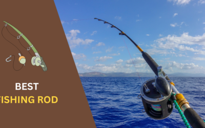 7 Best Fishing Rods 2024: Top Picks (Tested & Rated)