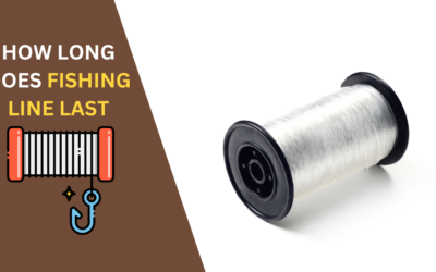How Long Does Fishing Line Last? Everything You Need to Know