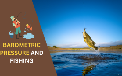 How are Barometric Pressure and Fishing Related? Explained