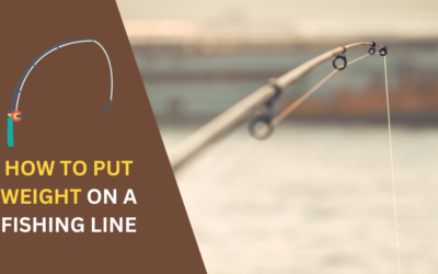 How to Put a Weight on a Fishing Line? Step-by-Step Guideline