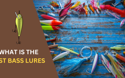 7 Best Bass Lures for Every Season and Condition in 2024