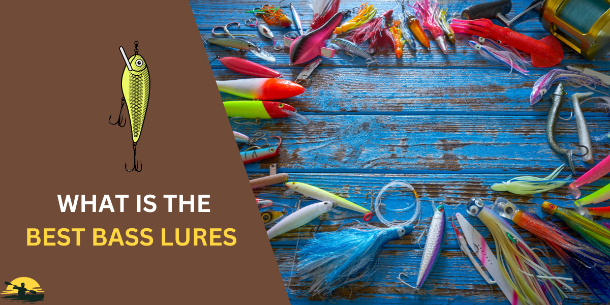 Best Bass Lures