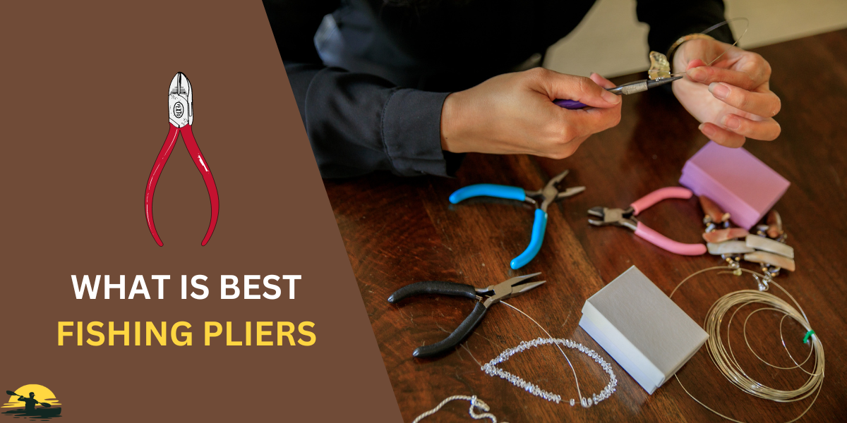 Best Fishing Pliers
