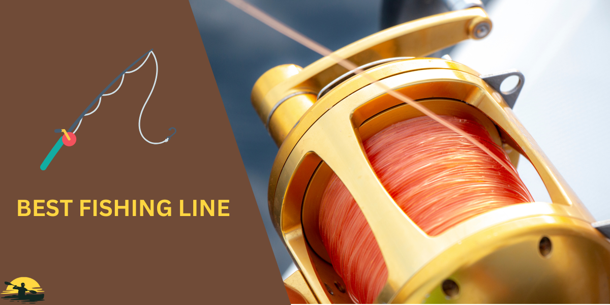 Best Fishing Line