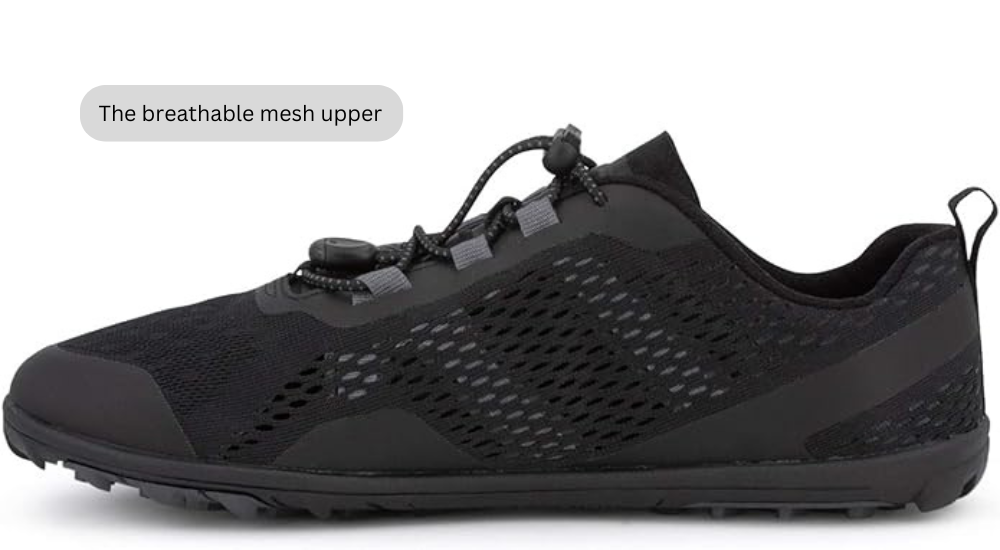 Aqua X Sport