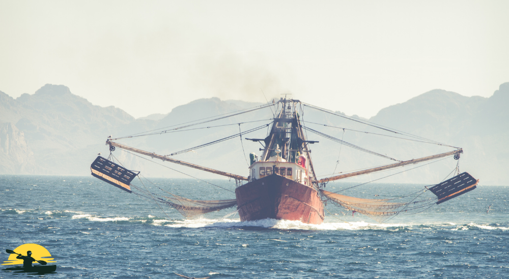 Fishing ship