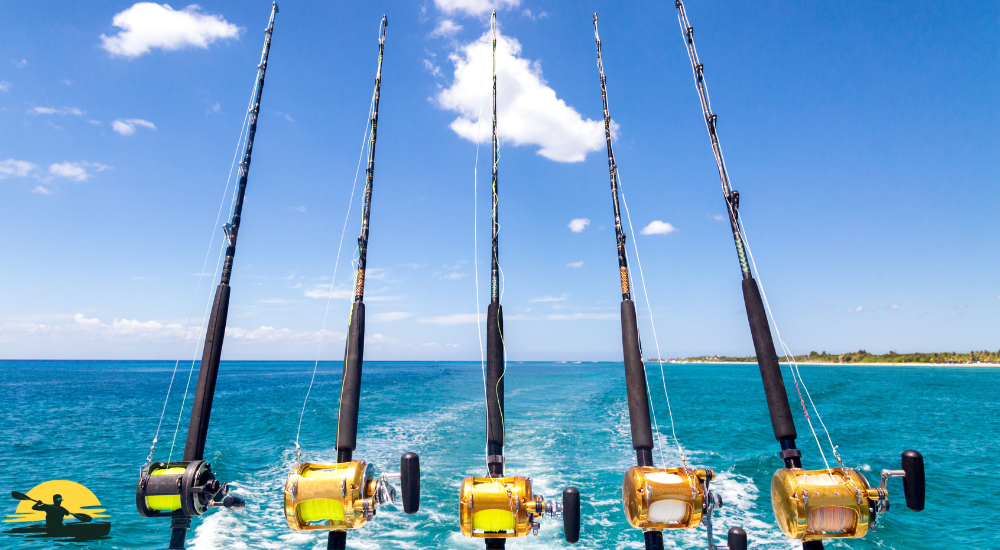 some fishing pole above the ocean