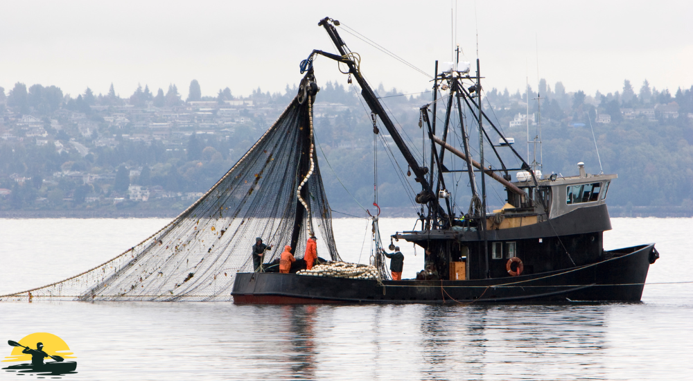 A fishing ship