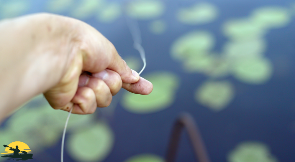 Fishing line