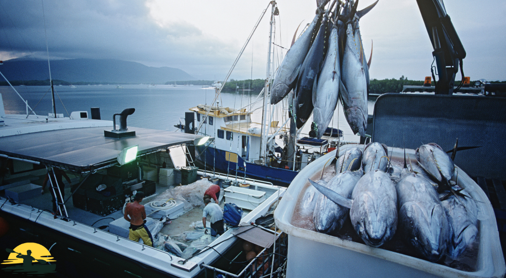 View of some people and fishes