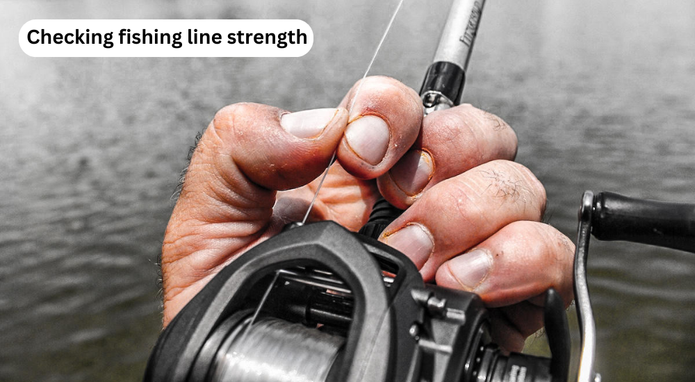 Checking fishing line strength
