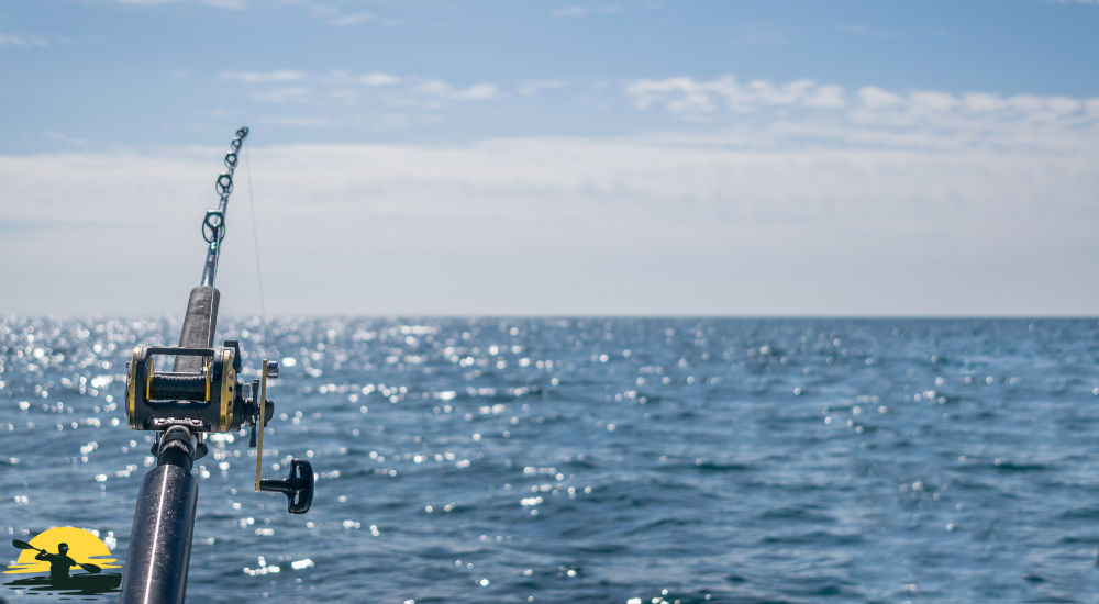 A fishing pole