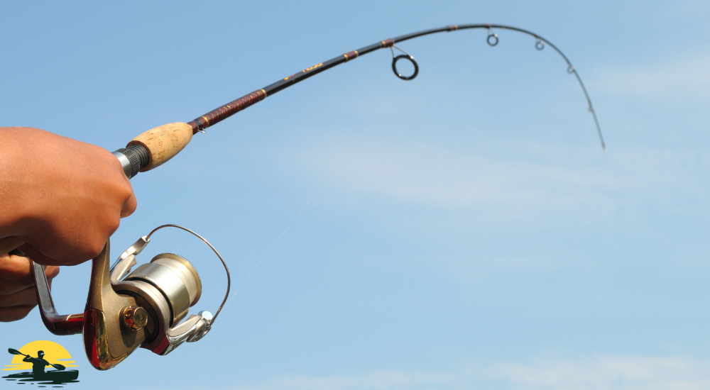 Fishing with fishing rod