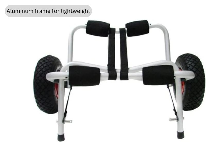 TMS Cart