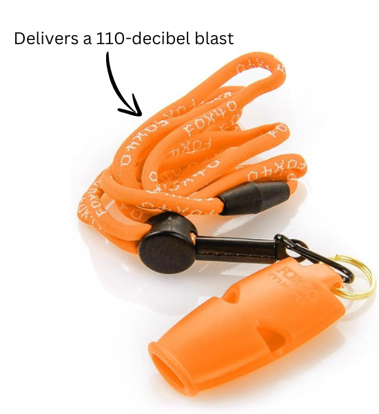Micro Whistle