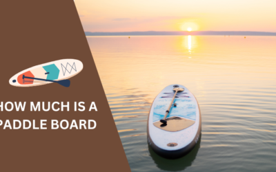 How Much is a Paddle Board?  Cost Breakdown in 2024